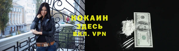 дживик Арсеньев