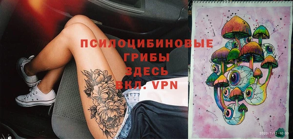 apvp Аркадак