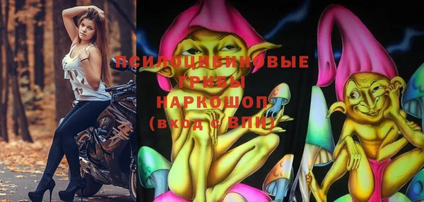 apvp Аркадак
