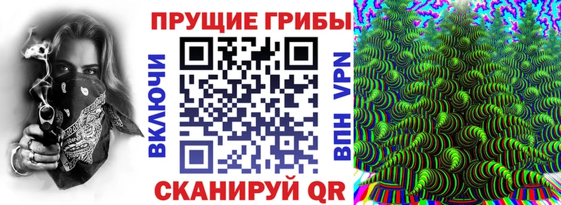 Псилоцибиновые грибы прущие грибы  Сураж 